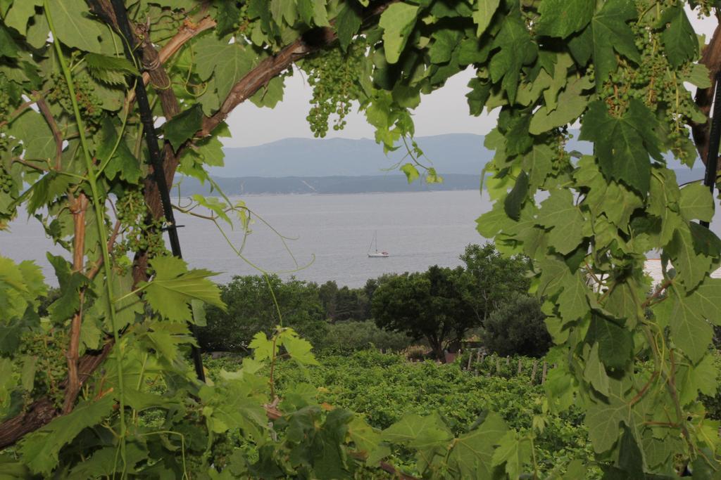 Holiday Home Vineyard House Bol Phòng bức ảnh
